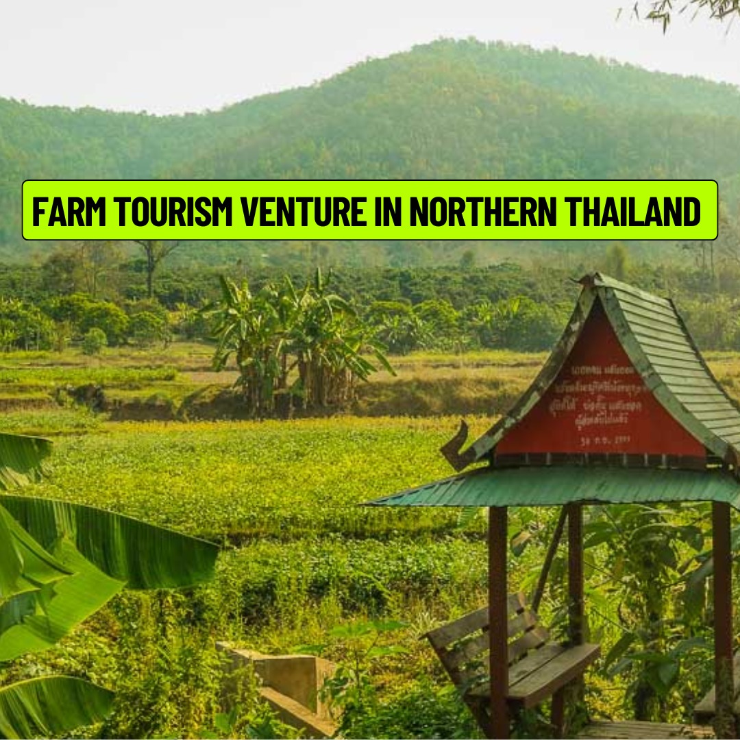 Farm tourism landscape in Northern Thailand with green fields and traditional hut